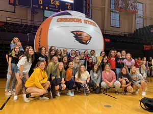 Image post by @beavervball on Instagram