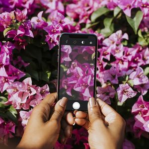 Image post by @kidsgardening on Instagram