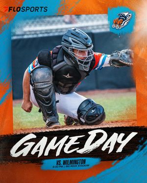Image post by @mhcmarlins on Instagram
