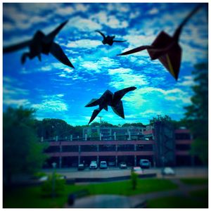 Image post by @stonybrooku on Instagram