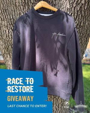 Image post by @dressember on Instagram