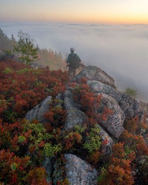 Image post by @nationalparkscollective on Instagram
