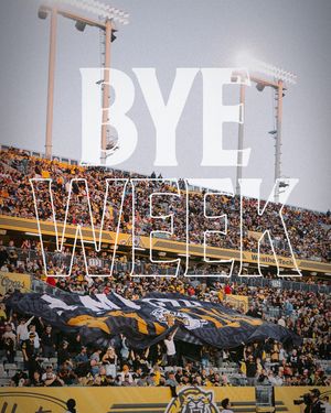 Image post by @hamiltontigercats on Instagram