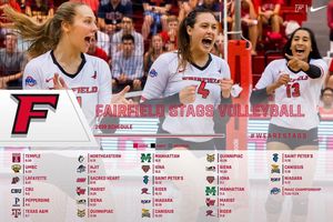 Image post by @stagsvb on Instagram