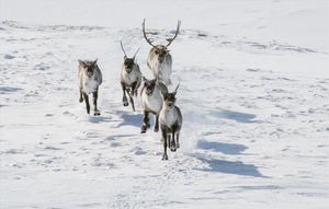 Image post by @nationalparktrust on Instagram