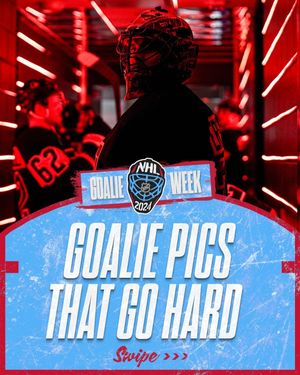 Image post by @nhl on Instagram