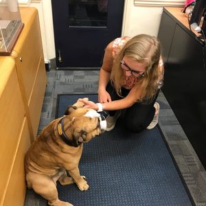 Image post by @yalewtennis on Instagram