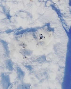 Image post by @fubiz on Instagram