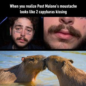 Image post by @9gag on Instagram