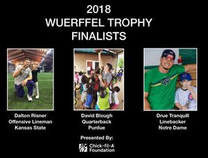 Image post by @wuerffel_trophy on Instagram