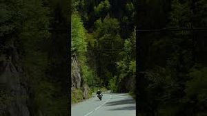 Video post by @livewireev on YouTube