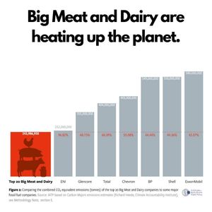 Image post by @greenpeace on Instagram