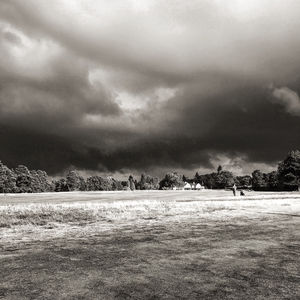 Image post by @oliver_wilson on Instagram