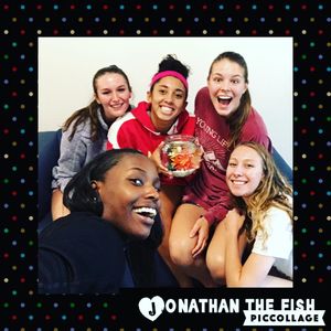 Image post by @memphisvball on Instagram
