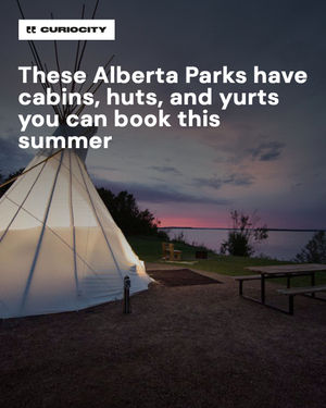 Image post by @curiocitycalgary on Instagram