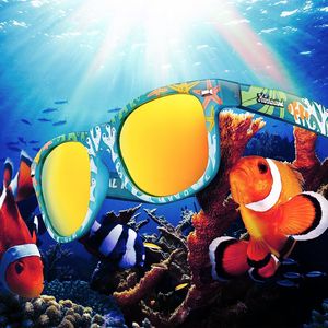 Image post by @knockaround on Instagram