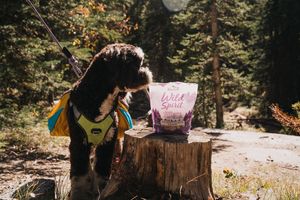 Image post by @triumphpetfood on Instagram