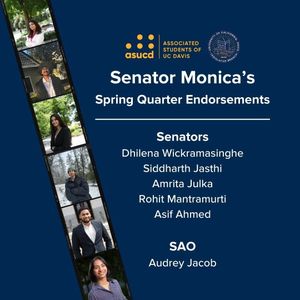 Image post by @senatormonica on Instagram