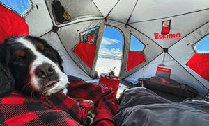 Image post by @officialsnowdog on Instagram
