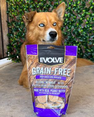 Image post by @evolvepetfood on Instagram