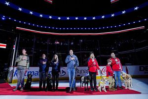 Image post by @Capitals on Twitter/X