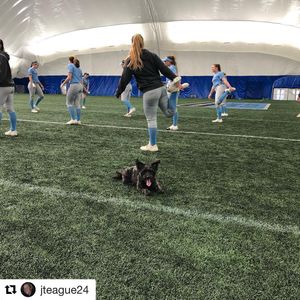 Image post by @culionssoftball on Instagram