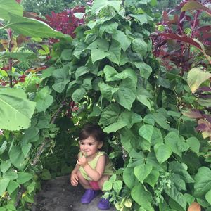 Image post by @kidsgardening on Instagram