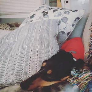 Image post by @hollysmee on Instagram