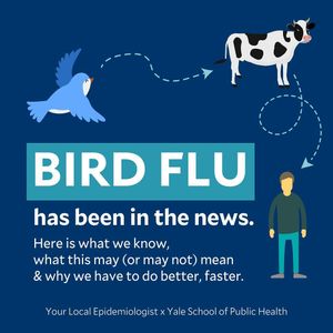 Image post by @yalesph on Instagram