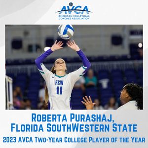 Image post by @avcavolleyball on Instagram