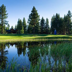 Image post by @barracudachampionship on Instagram