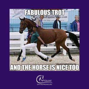 Image post by @equine_entrepreneurs_ on Instagram