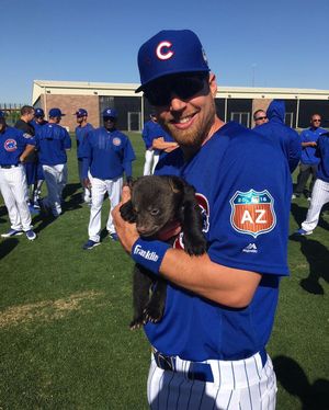 Image post by @chicagocubsnation on Instagram