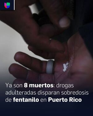 Image post by @univision23 on Instagram