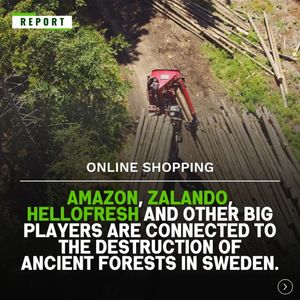 Image post by @greenpeace on Instagram
