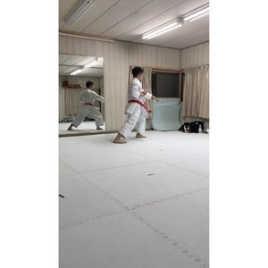 Image post by @gakutoro on Instagram