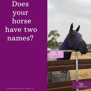 Image post by @equineidsolutions on Instagram