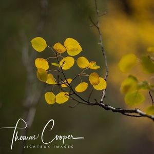 Image post by @lightboximages on Instagram