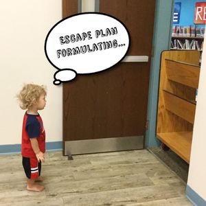 Image post by @stjohnscountylibrary on Instagram
