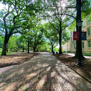 Image post by @uofscalumni on Instagram