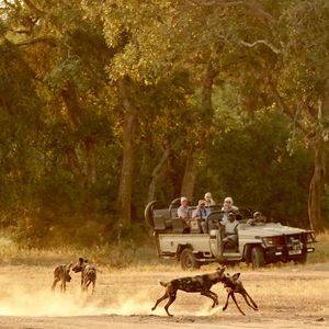 Image post by @chiawasafaris on Instagram