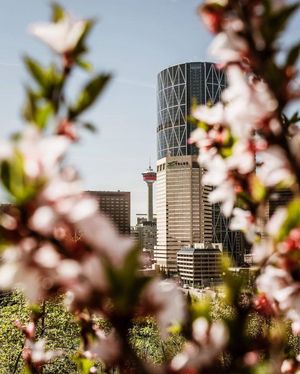 Image post by @cityofcalgary on Instagram
