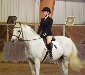 Image post by @appalachianequestrian on Instagram