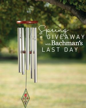 Image post by @shopbachmans on Instagram