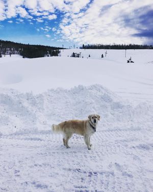 Image post by @granbyranch on Instagram