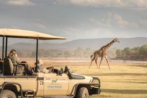 Image post by @chiawasafaris on Instagram