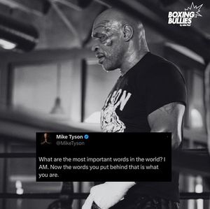 Image post by @boxingbullies on Instagram