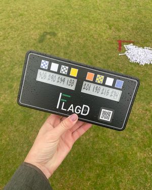 Image post by @flagdgolf on Instagram