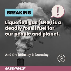 Image post by @greenpeaceusa on Instagram