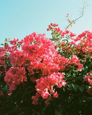 Image post by @byconnornich on Instagram